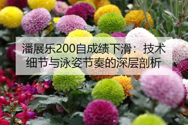 潘展乐200自成绩下滑：技术细节与泳姿节奏的深层剖析