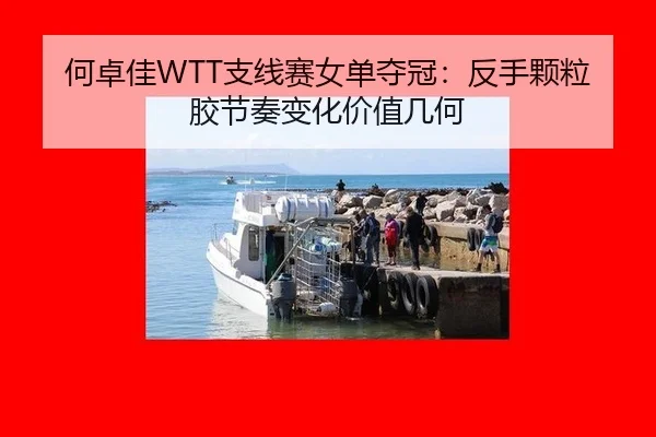 he-zhuo-jia-zhi-xian-sai-nv-dan-duo-guan-fan-shou-ke-li-jiao-jie-zou-bian-hua-jia-zhi-ji-he-3-529.jpg