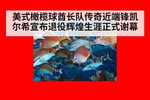 美式橄榄球酋长队传奇近端锋凯尔希宣布退役辉煌生涯正式谢幕