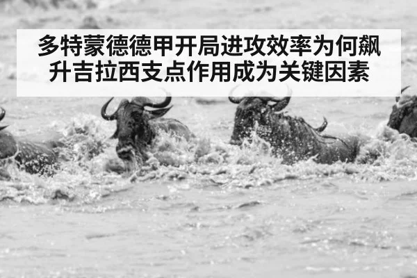 多特蒙德德甲开局进攻效率为何飙升吉拉西支点作用成为关键因素